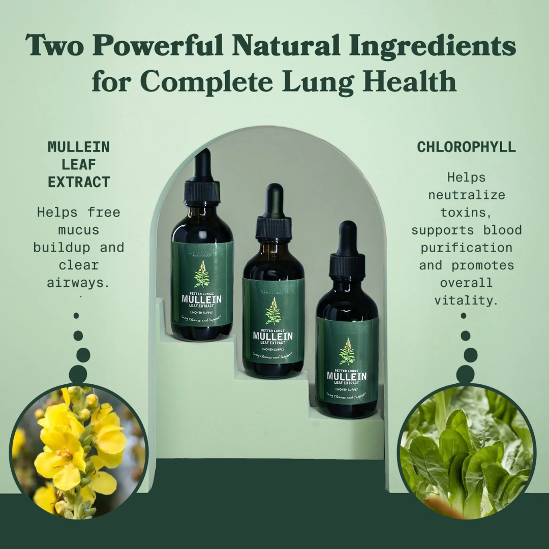 Zeara® Mullein + Chlorophyll Drop