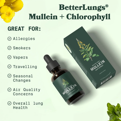 Zeara® Mullein + Chlorophyll Drop