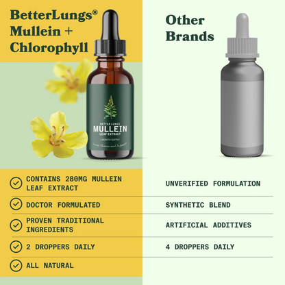 Zeara® Mullein + Chlorophyll Drop